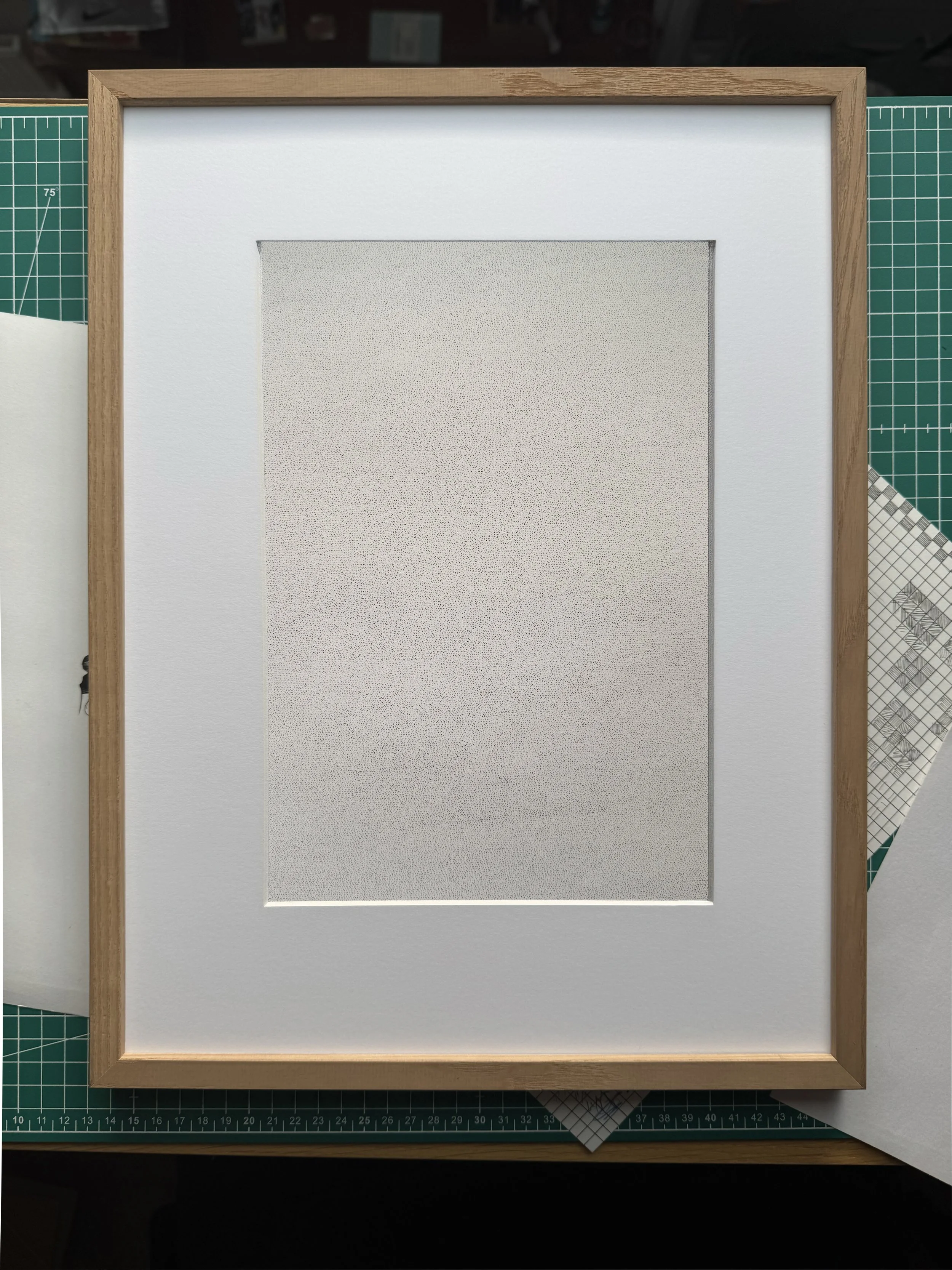 The Red Dot Project drawing