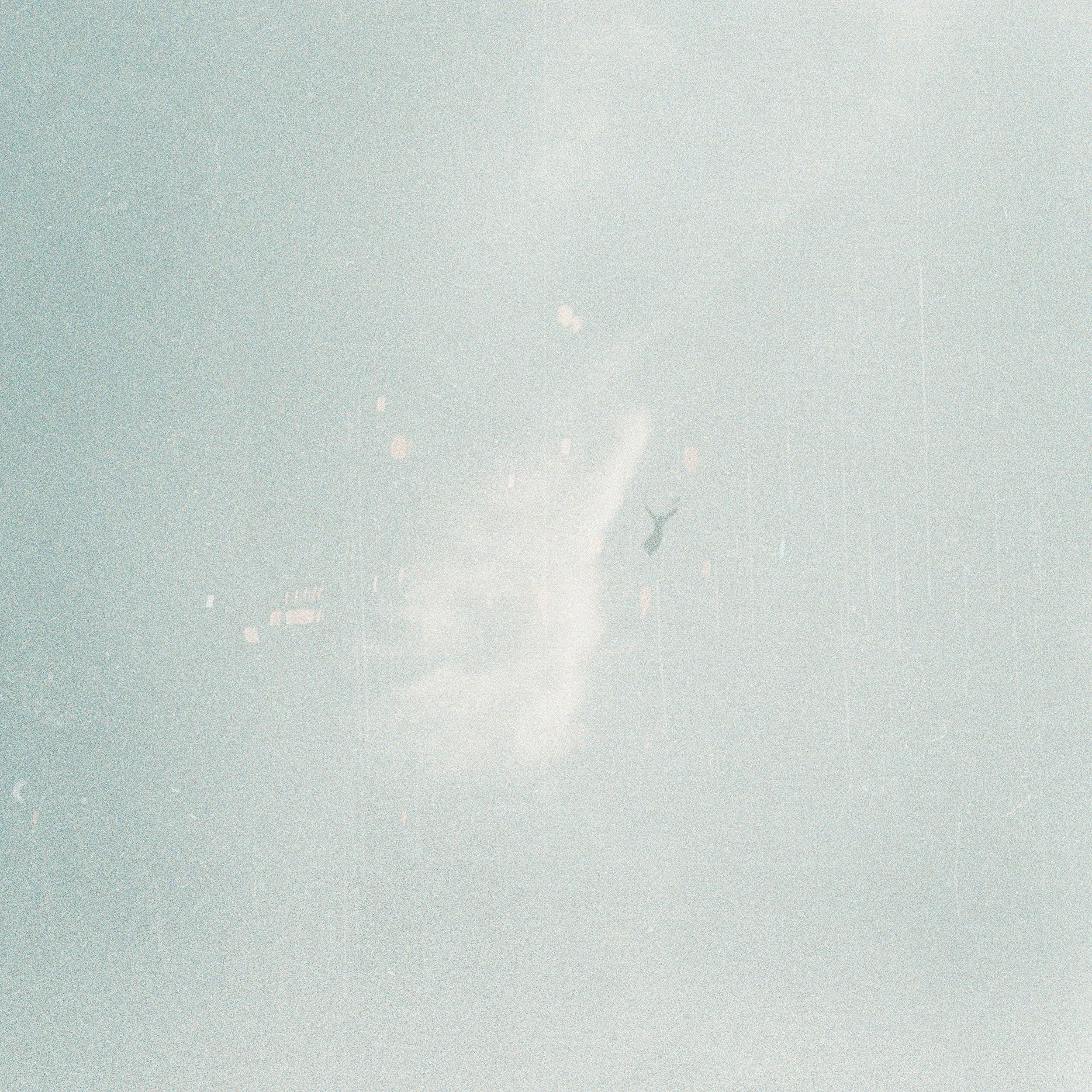 Bluebird album cover